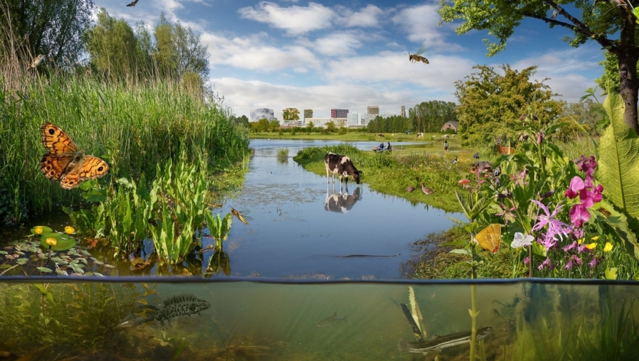 biodiversiteit, Universiteit Utrecht.