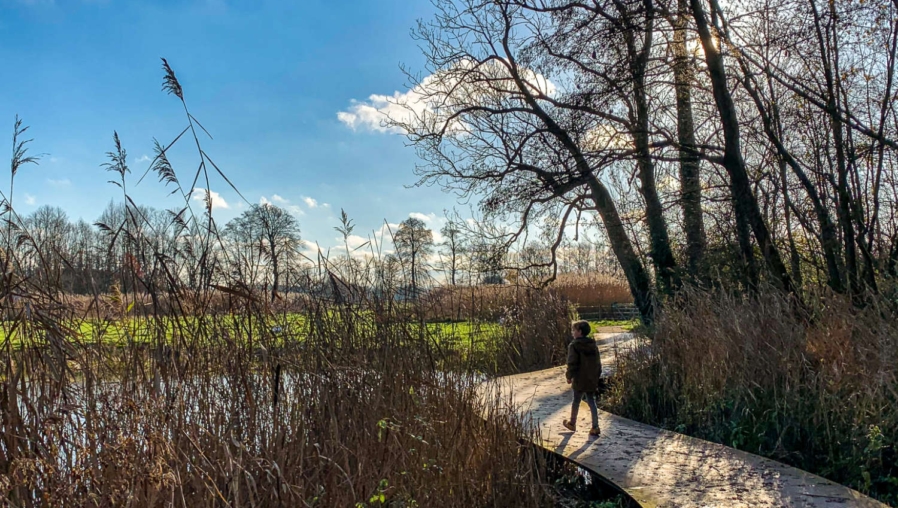 Landgoed Oostbroek, Utrecht Science Park, Maaltuin