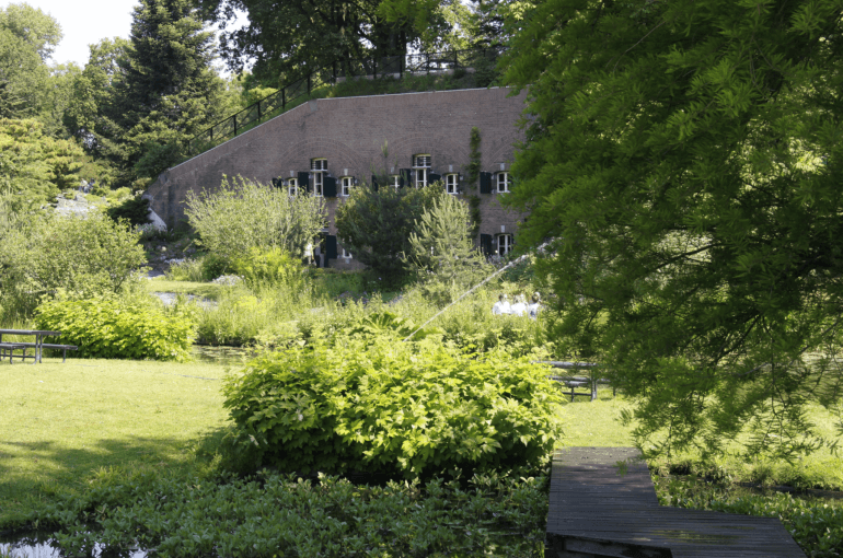 Arboretumpark