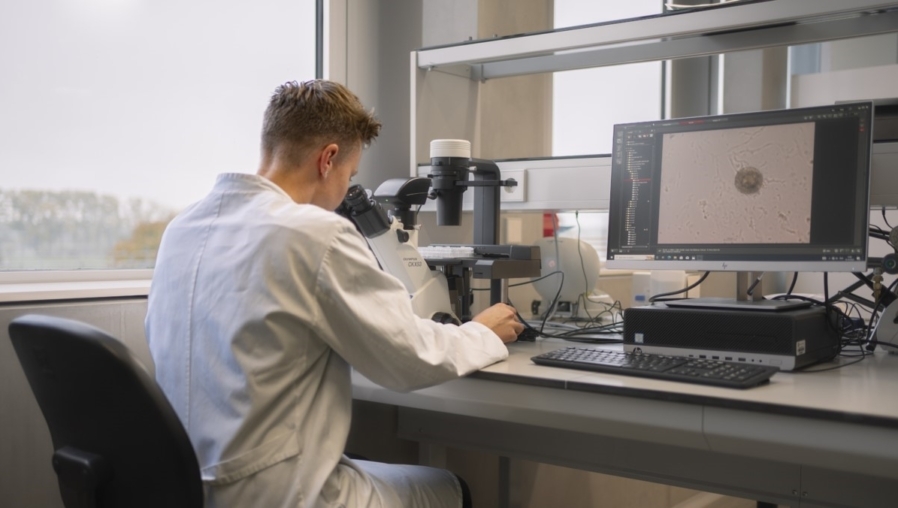 lab, microscoop