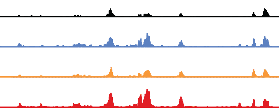 DNA