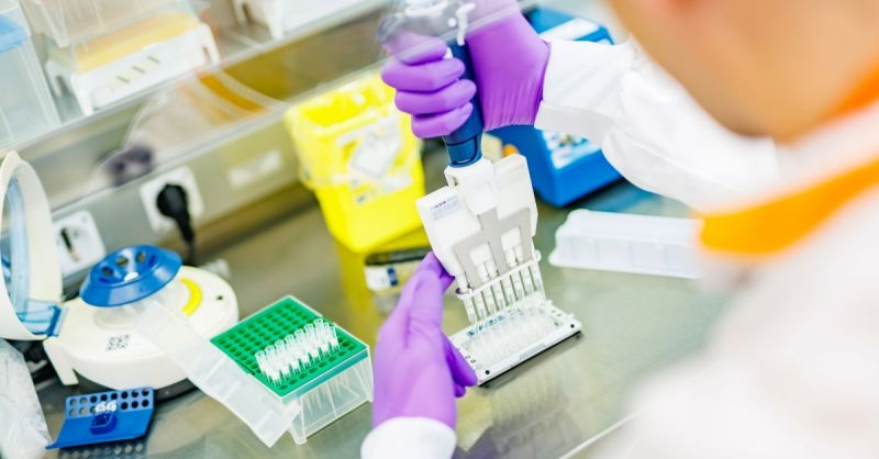 prinses maxima centrum