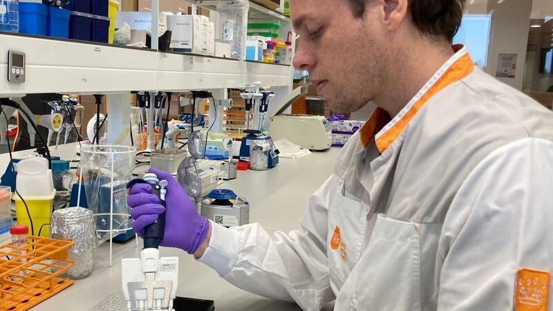 behandeling hersentumoren