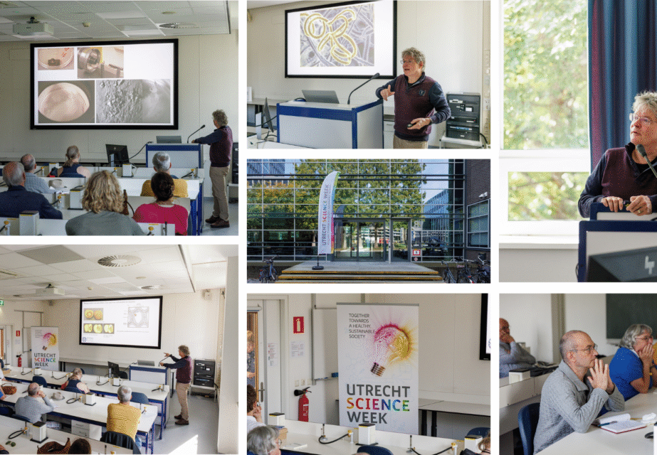 Lezing De schoonheid van bederf