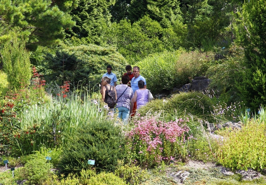 Ontdek de Botanische Tuinen van Utrecht
