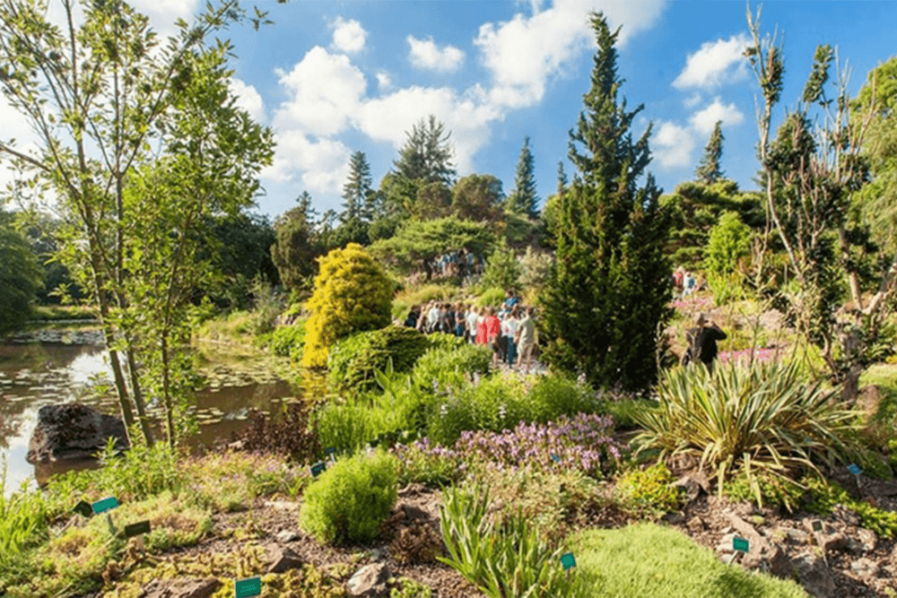 Sportrecreatie-Botanische-Tuinen