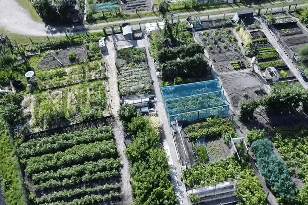 Sportrecreatie-Moestuinvereninging.