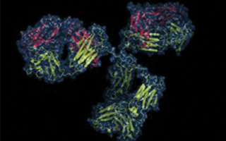 Utrecht Monoclonal Antibody Facility