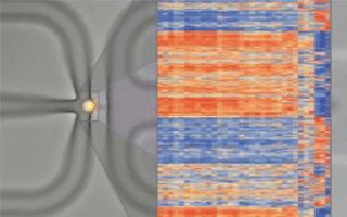 Single Cell Analysis Centre