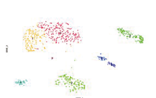 Single Cell Discoveries