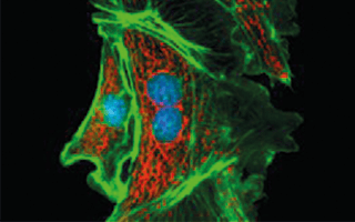 BioImaging Utrecht