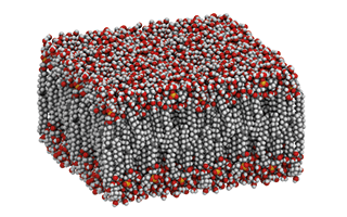 moleculen, visual