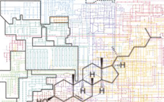 Lipidomics facility