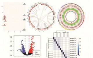 Utrecht Bioinformatics Expertise Core