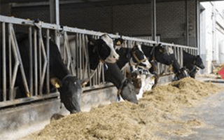Facilities Department of Farm Animal Health
