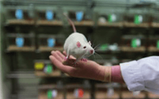 Central Laboratory Animal Research Facility