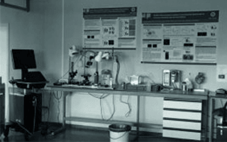 Circulatory Health Small Animal Research Facility