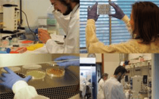 Dutch DNA Biotech