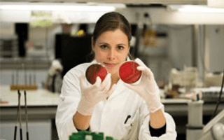 Veterinary Microbiological Diagnostic Centre