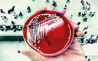 Laboratory for Medical Microbiology