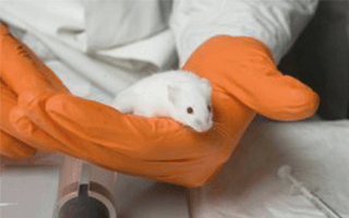 Animal Welfare Body