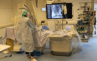 Hybrid operation room for large animals