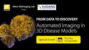 From Data to Discovery: Automated imaging in 3D Disease Models