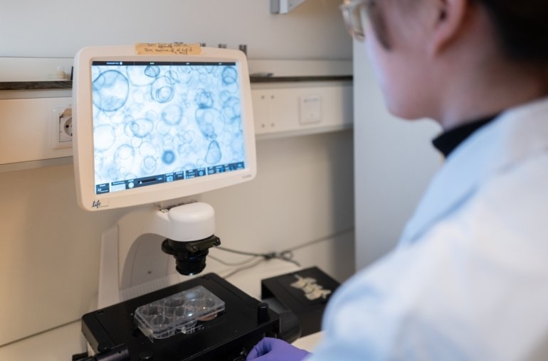 Universiteit utrecht, onderzoek, neoliver