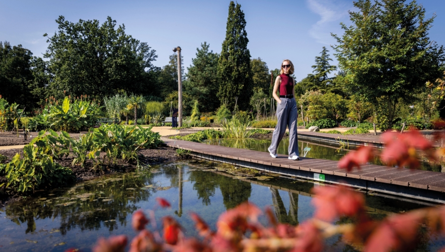 Tuin, botanische tuin,