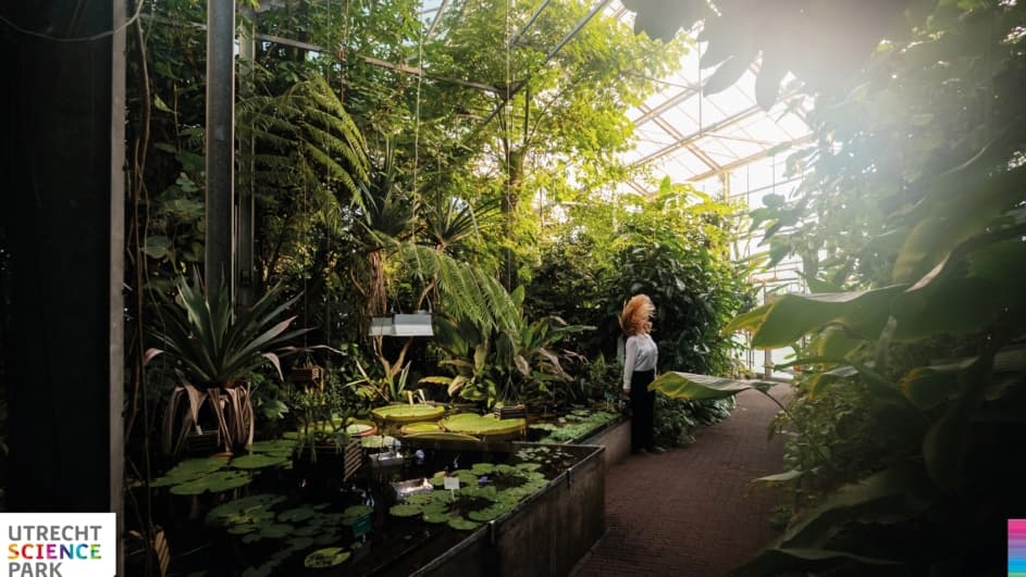 Utrecht Science Park artistiek
