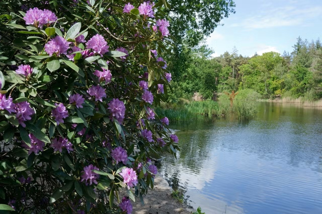 Landgoed-Oostbroek-Utrechts-Landschap