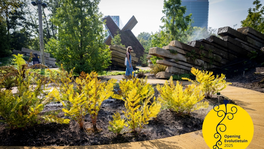 Botanische Tuinen, evolutietuin