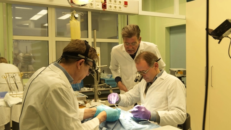 Chirurgie, ziekenhuis