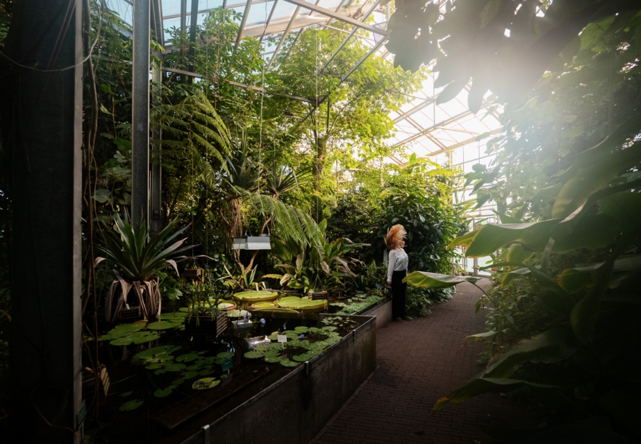 Kas Botanische Tuinen Utrecht Science Park. Credit: Stijn Doors 2019