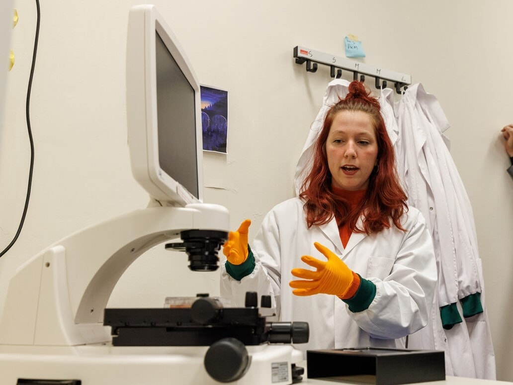 Van Zebravis tot miniorgaan USW 2025 Hurbrecht Institute