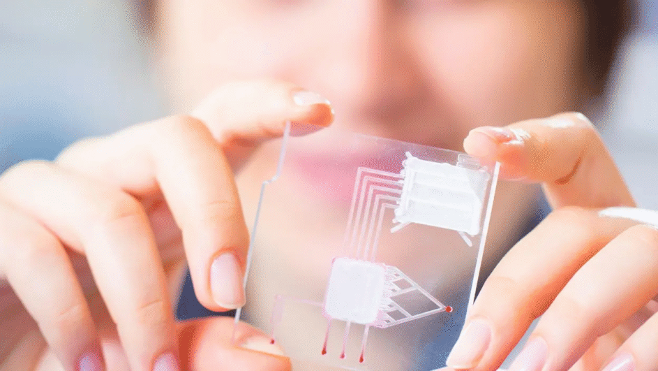 Human Measurement Models Event