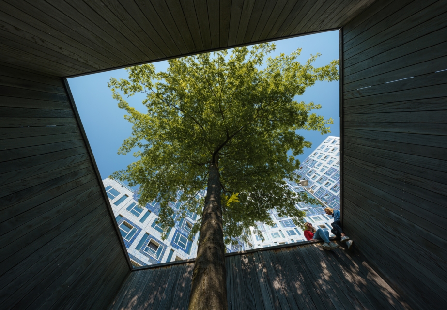 Programma- en Projectmanager Bedrijven