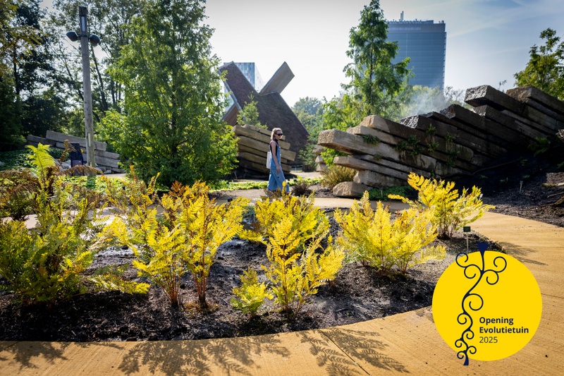 On a journey through the history of plant evolution in the new Evolution garden