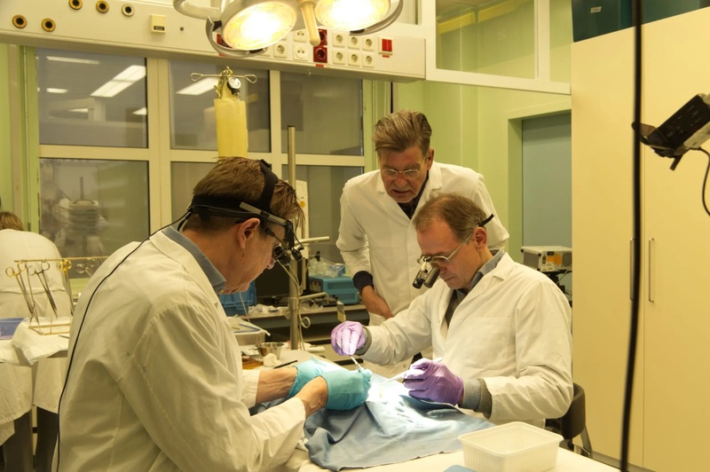 Researching an innovative solution for bypass surgery