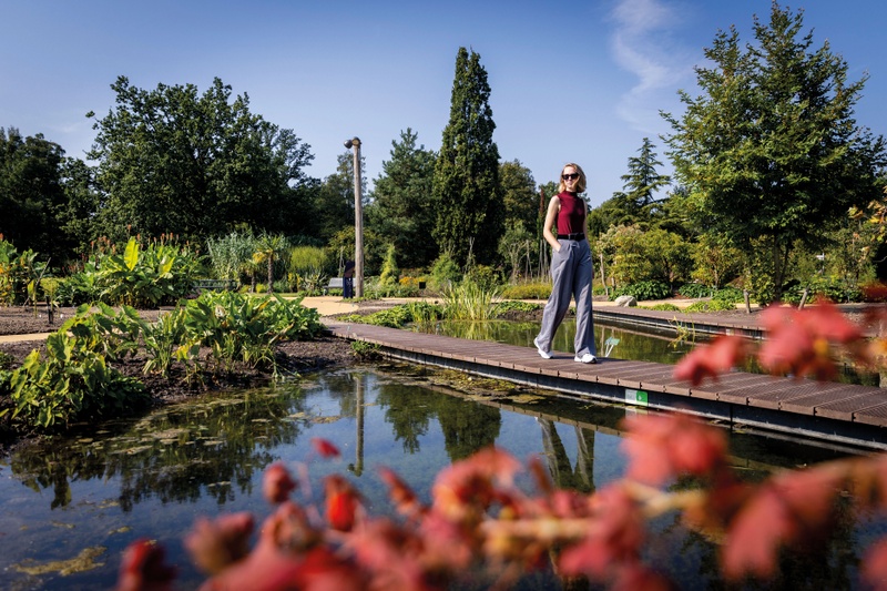 Opening Month of the Evolution Garden Botanical Gardens