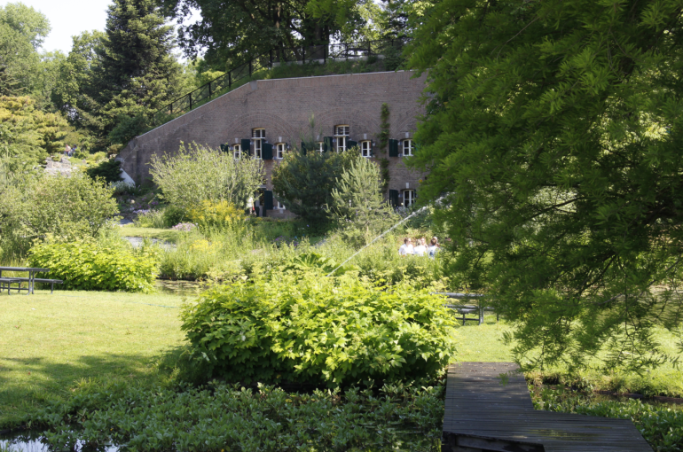 Aanleg Arboretumpark vanaf 19 mei