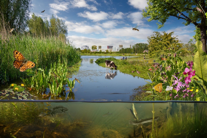 Biodiversiteit herstellen bij onderwijsboerderij de Tolakker