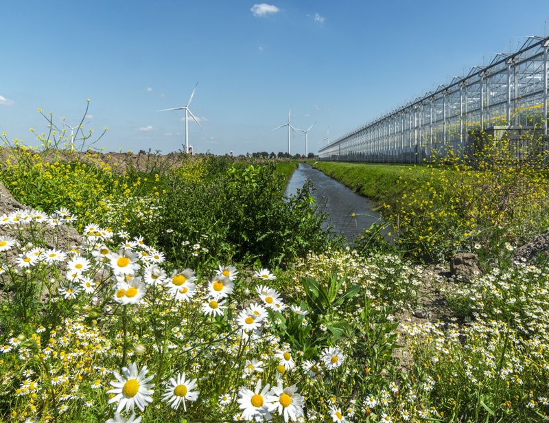 Nieuw mondiaal model toont aan hoe de milieudruk teruggebracht kan worden naar het niveau van 2015
