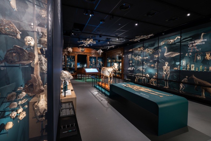 Vernieuwd Universiteitsmuseum Utrecht gaat na drie jaar weer open